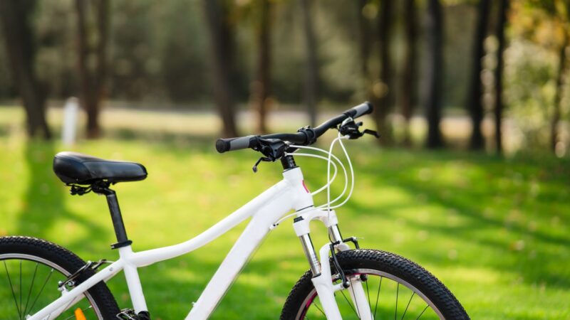 A Guide to Choosing the Perfect Bicycle for Your Riding Journey